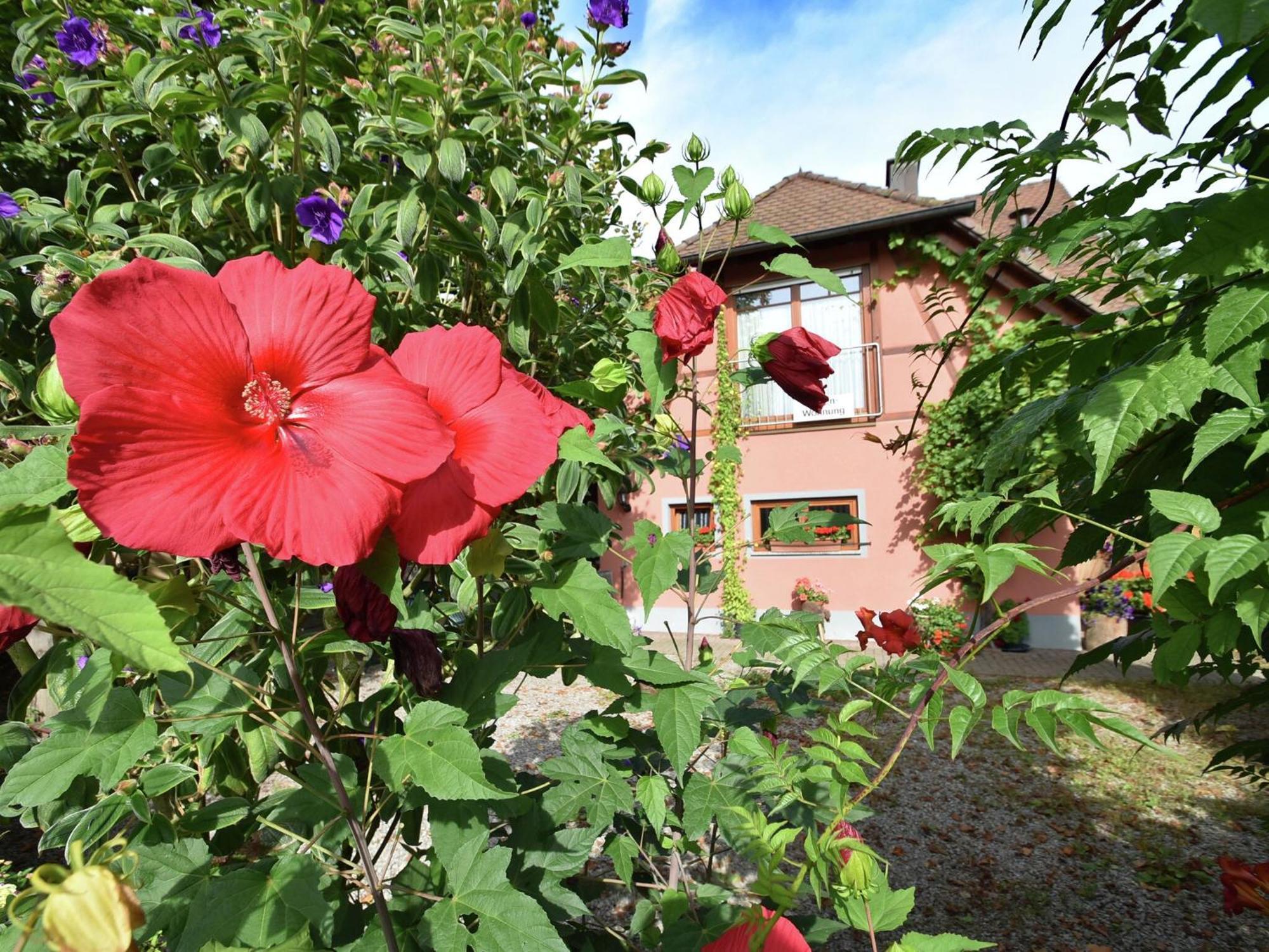 Countryside Apartment With Garden Schallstadt Exterior foto